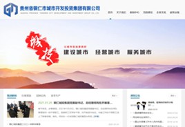 西塞山城市开发投资集团有限公司